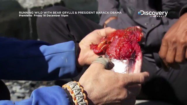 Running Wild With Bear Grylls avec le Président américain Barack Obama