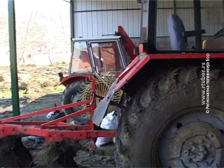 Selo moje, 27. decembar 2015. (RTV Bor)