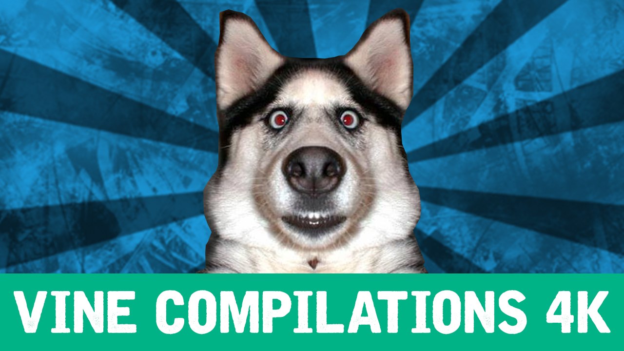 FUNNIEST VINE COMPILATION EVER MADE!