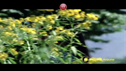 Timeless Romance: Best Evergreen Gulzar Songs 🎶