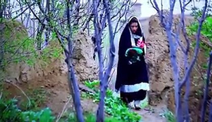 Dameeni Jang - Mirwis Sahil New Song 2016 - Afghan Pashto Song 2016