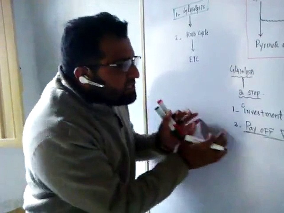 Cellular respiration Step.1: Glycolysis,  by Tilawat Khan from The Bio-Point