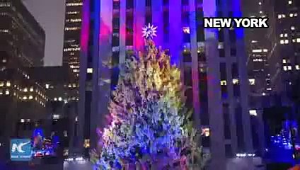 10 Most Gorgeous Christmas Trees of 2015