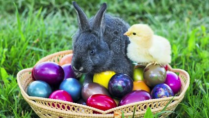 The Mysterious Origins of Easter