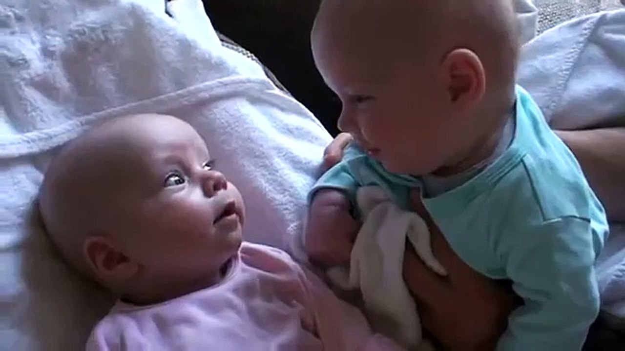 Близнецы разговаривают между собой! Какая прелесть! Очень милые! ))) Twins Merle and Stijn