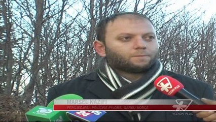 Zjarr në masivin pyjor të Dardhës - News, Lajme - Vizion Plus