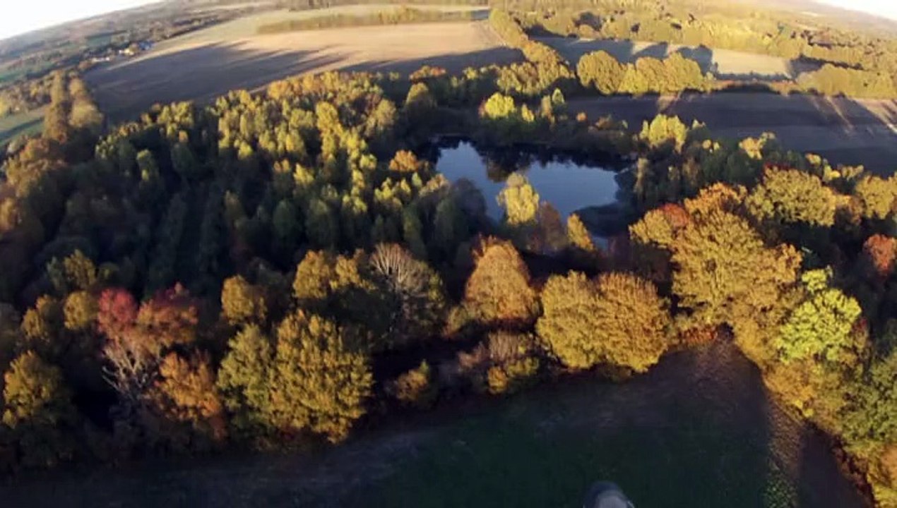 Sologne des bois