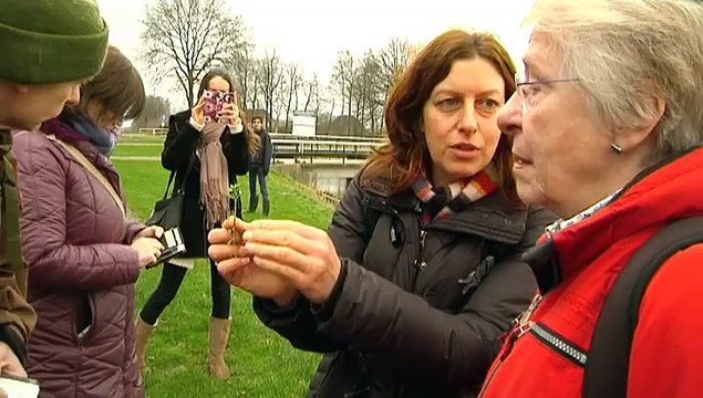 We willen meer weten van bloeiende planten in de winter - RTV Noord