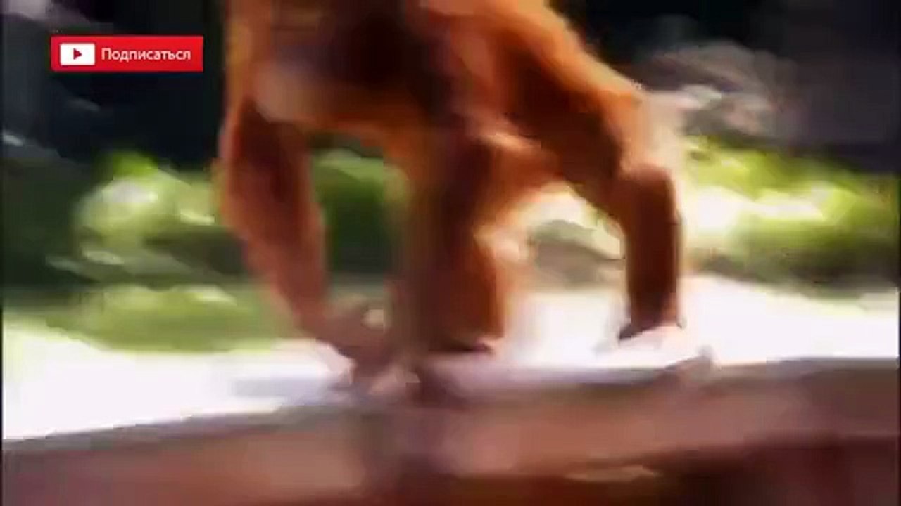 Класс.