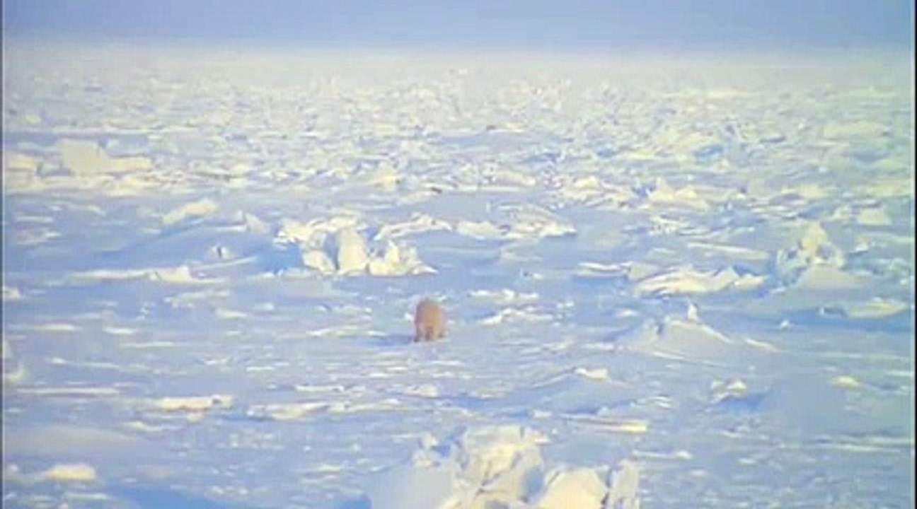 Wonderful nature_clip28