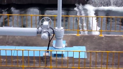 Fukushima tsunami - One of the most shocking videos