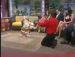 VID-20151028-WA0000.mp4