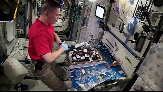 Minute of Silence Aboard Space Station for Paris Terrorist Victims