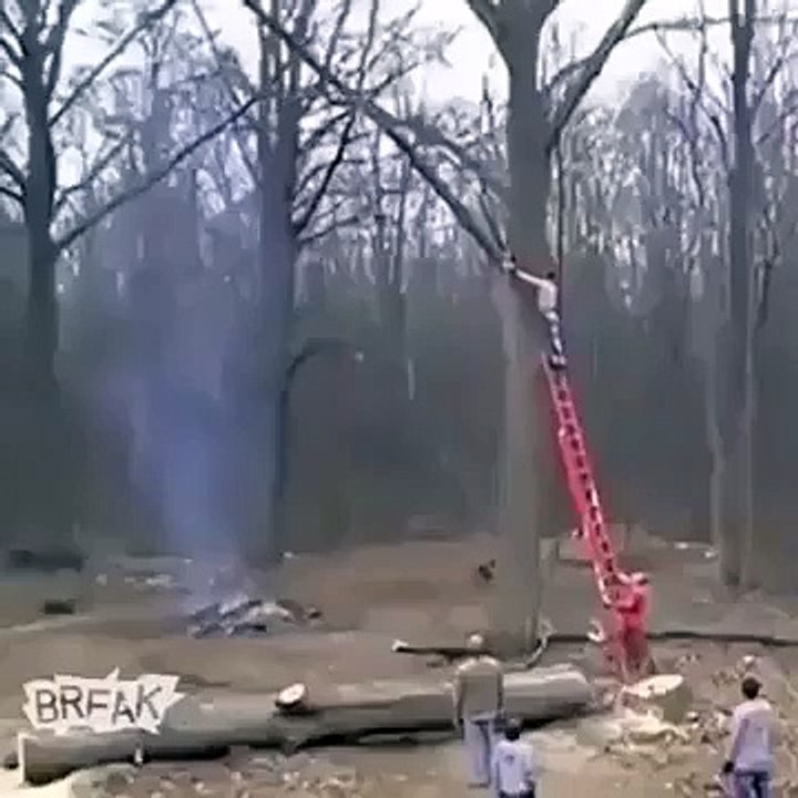 Funny Falls