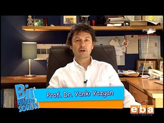 Çocuklarda Yaşanan Depresyonda Tanıya Götüren Nedenler Nelerdir