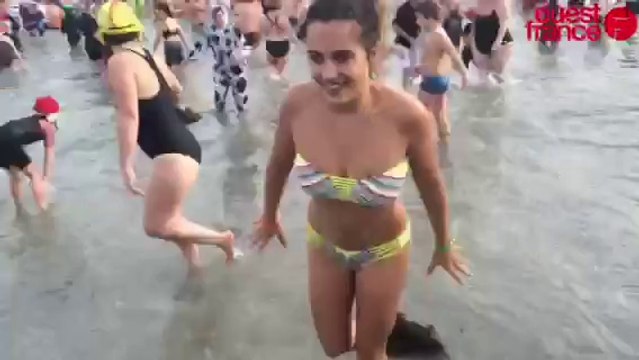 900 Otaries rugissent de bonheur