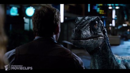Jurassic World (8/10) Movie CLIP - Raptors vs. Indominus (2015) HD