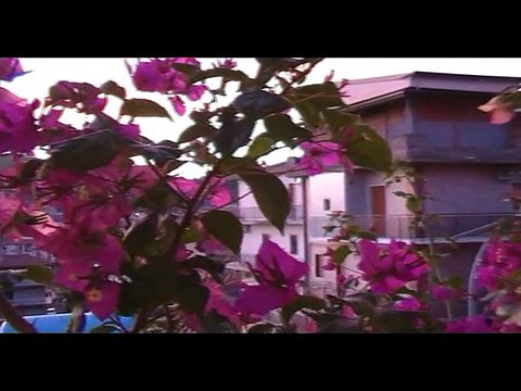 la notte - cover by giusy - 70 anni
