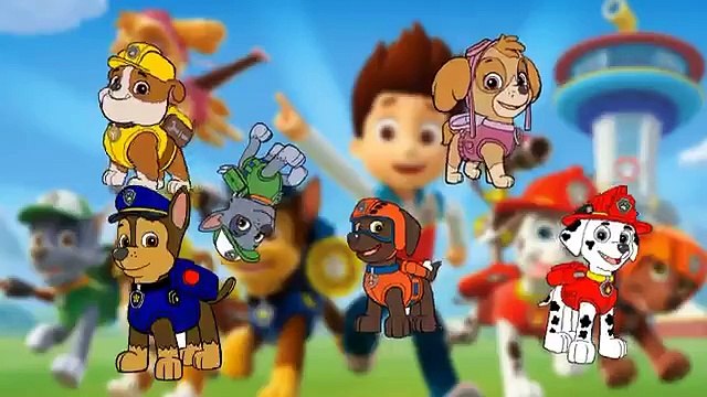 paw patrol cartoon theme song Finger Family Song