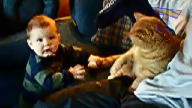 Funny babies annoying cats - Cute cat & baby compilation