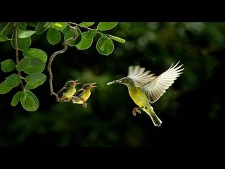 Super Hit Hindi Christian Devotional Song