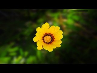 Hindi Holly Week Songs Non Stop | Fr.Francis Matathil