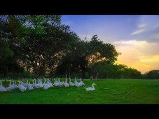 Super Hit Hindi Christian Devotional Song