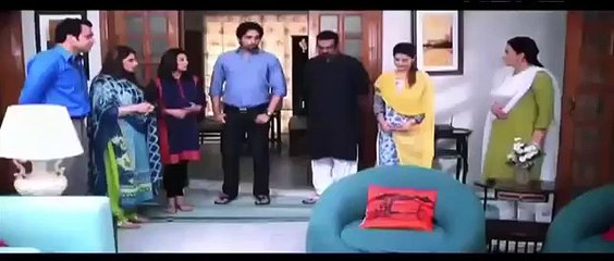 Meri Bahuien Episode 14 Full PTV Homne