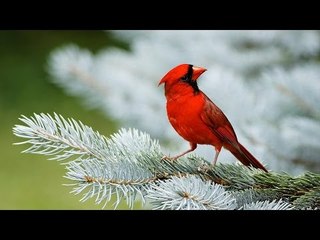 Super Hit Hindi Christian Devotional Songs | Athmavarsha Album Full Songs