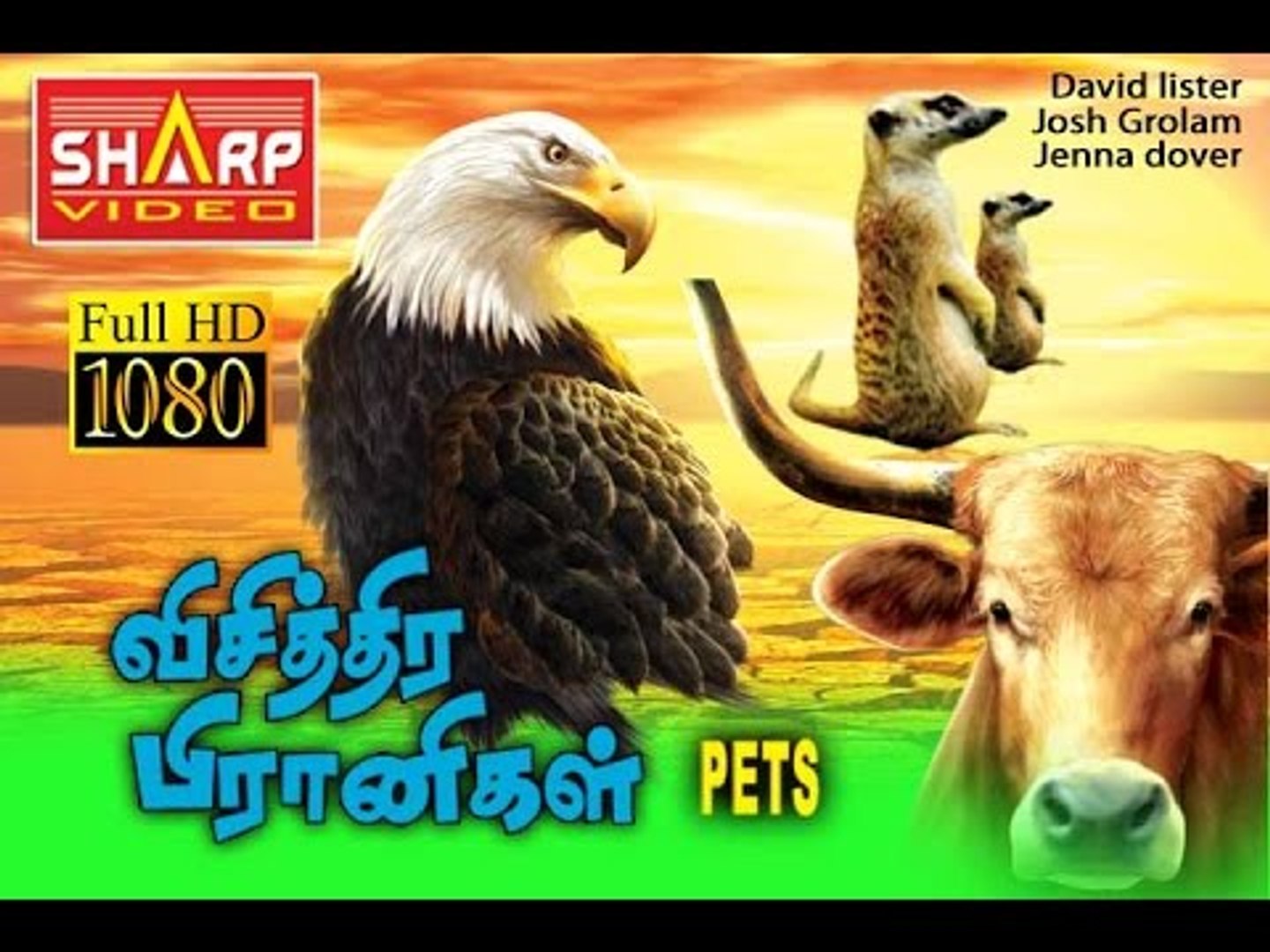 ⁣PETS  tamil  HD  FULL MOVIE (Action special )