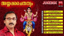 Malayalam Ayyappa Devotional Songs | Ayyappa Chaithanyam | Hindu Devotional Songs Audio Jukebox