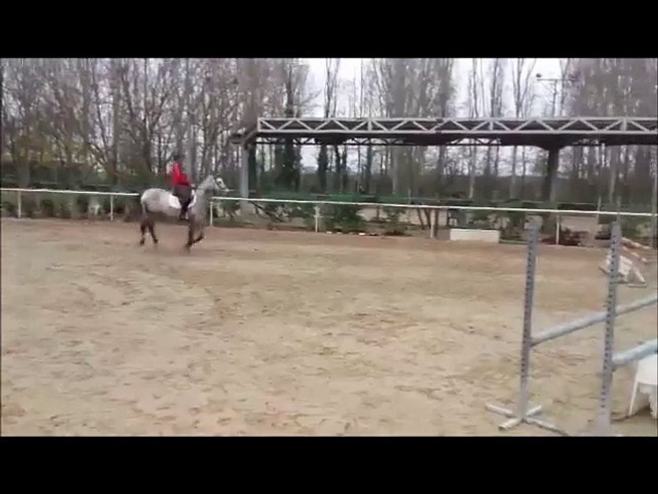 saga 4 ans