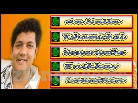 Biju Narayanan Evergreen Musical Hits | Jukebox