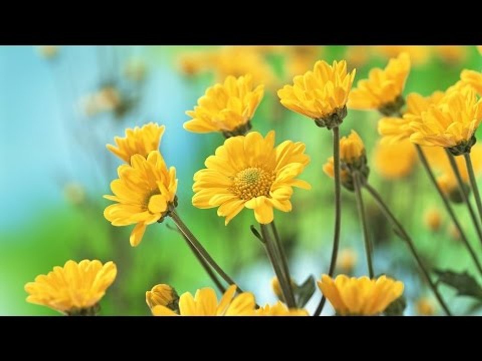 Malayalam Christian Devotional Song