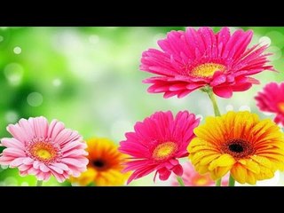 Malayalam Christian Devotional Songs Non Stop