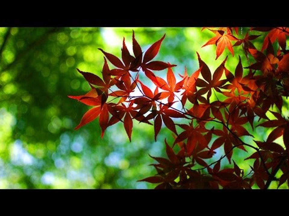 Malayalam Christian Devotional Songs Non Stop