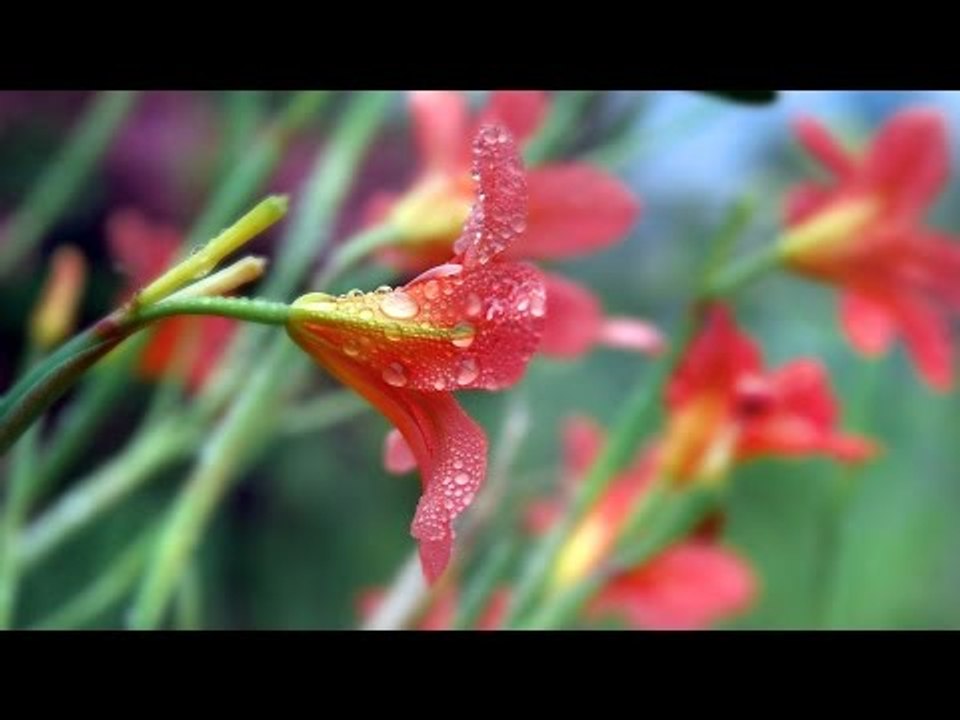 Malayalam Christian Devotional Songs Non Stop