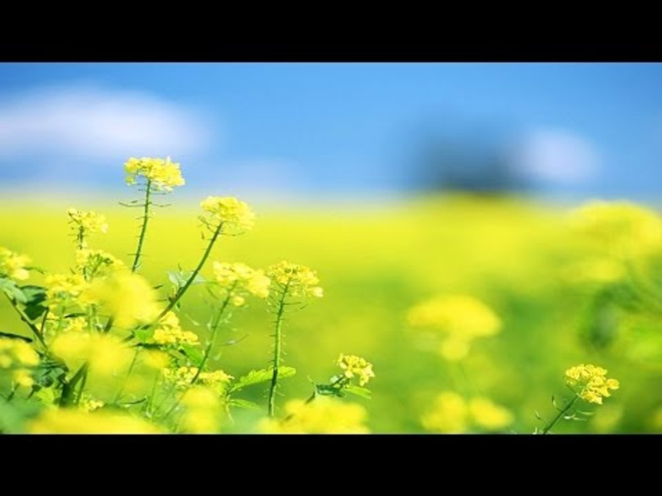 Malayalam Christian Devotional Songs Non Stop