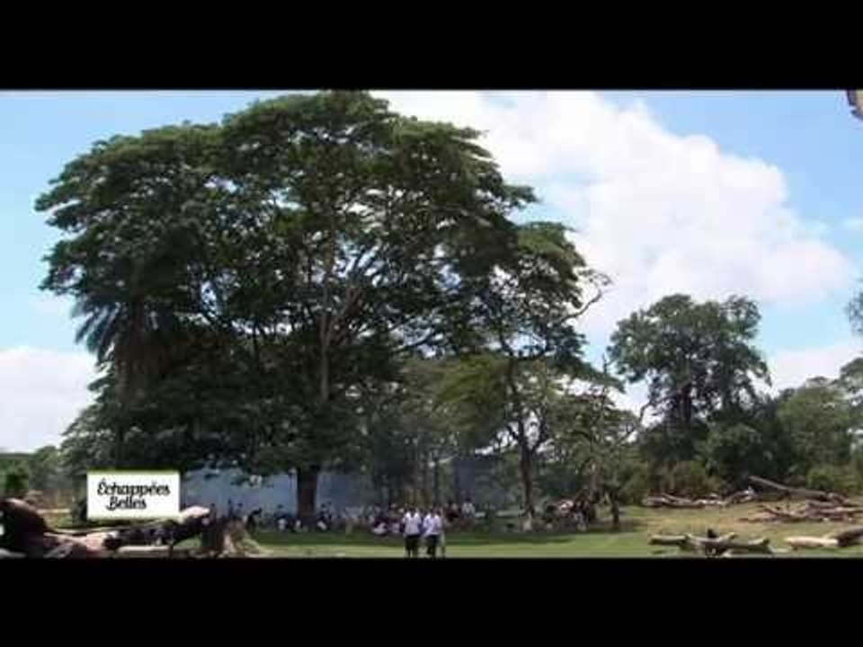 Madagascar : L'île rouge - Echappées belles