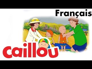 Caillou FRANÇAIS - Caillou cueille des fraises (S02E17)