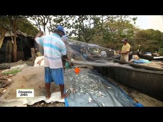 L'Inde : Kerala - Echappées belles