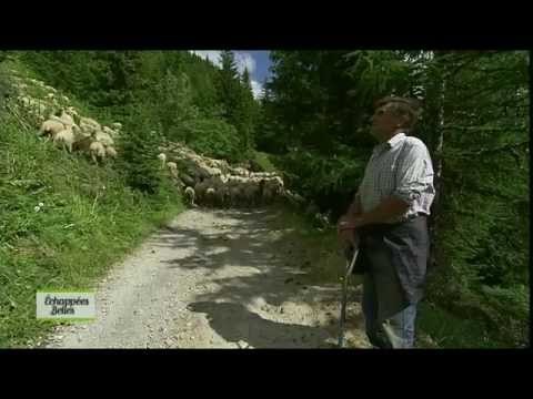 Rando dans les Alpes - Echappées belles