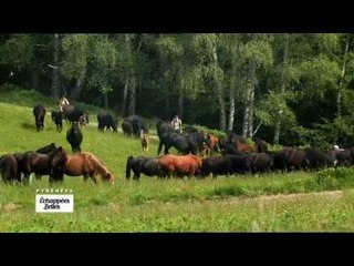 Pyrénées, un don du ciel - Echappées belles