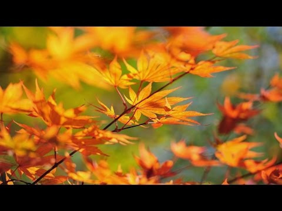 Super Hit Malayalam Christian Devotional Songs Non Stop | Album GOD