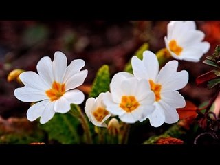 Malayalam Christian Devotional Songs Non Stop