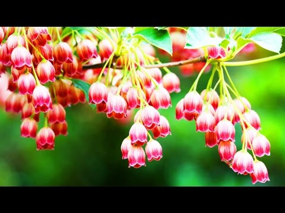 Super Hit Malayalam Christian Devotional Songs Non Stop