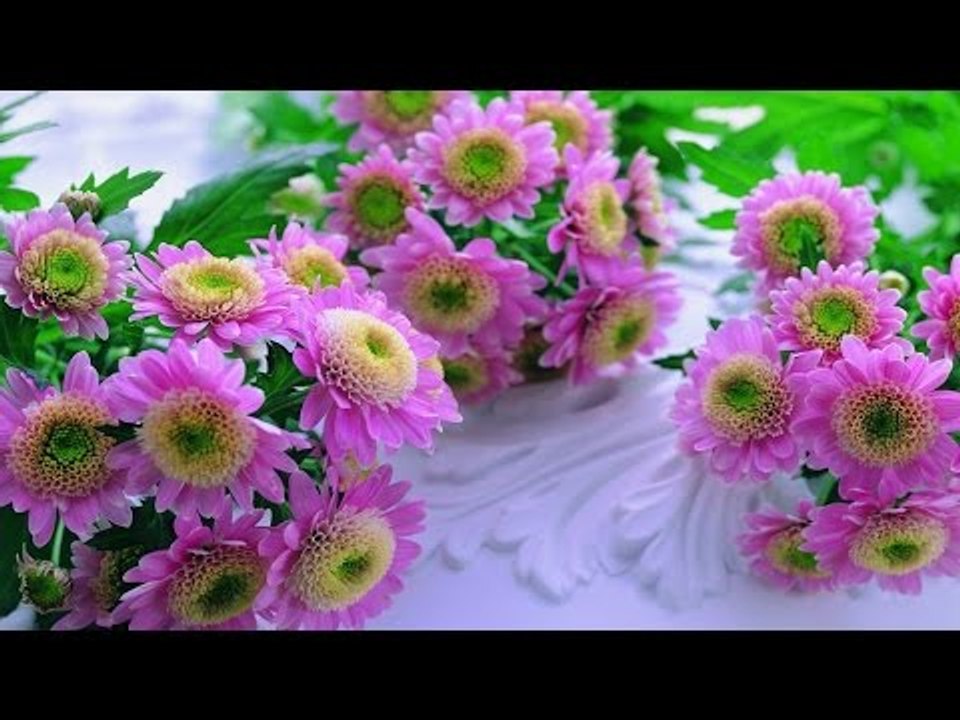Super Hit Malayalam Christian Devotional Songs Non Stop