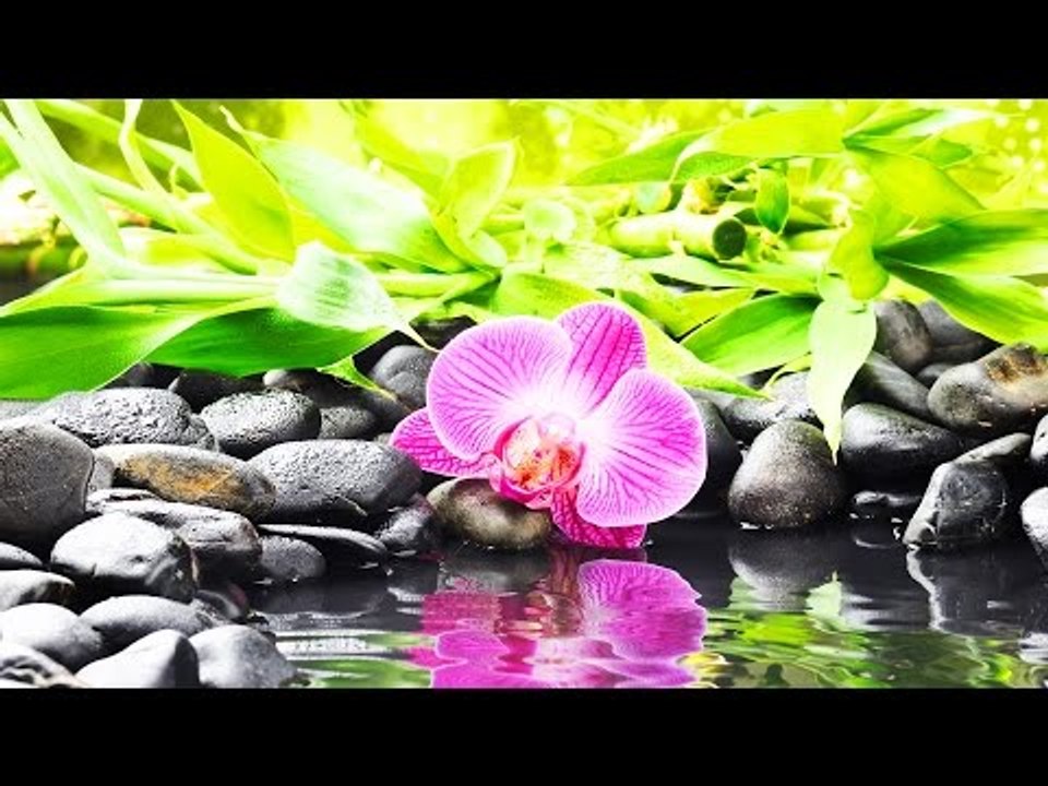 Malayalam Christian Devotional Song