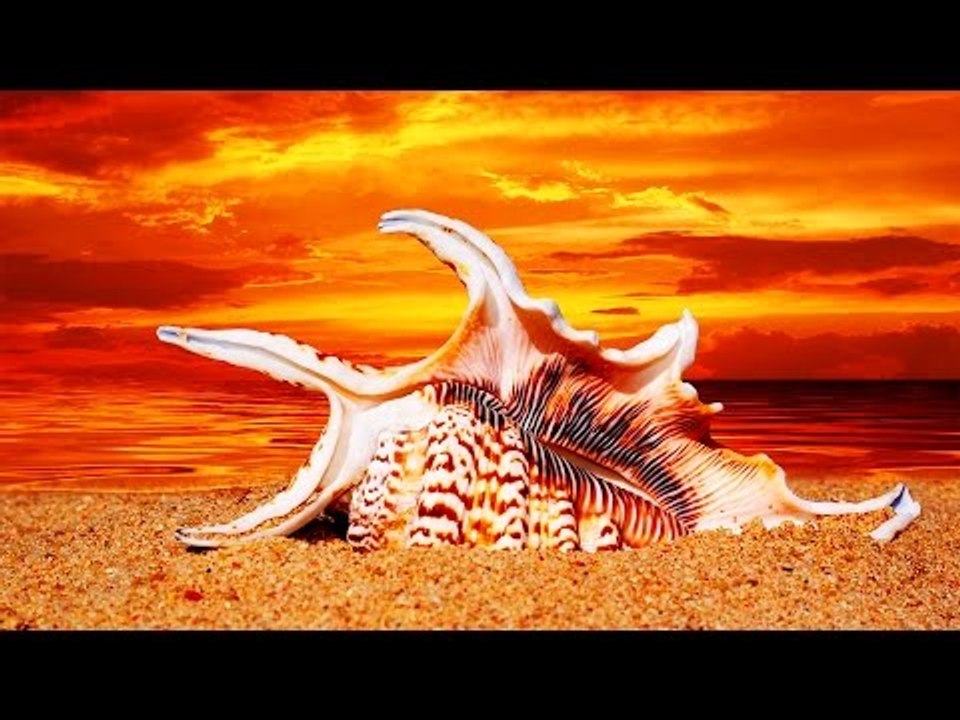 Malayalam Christian Devotional Song