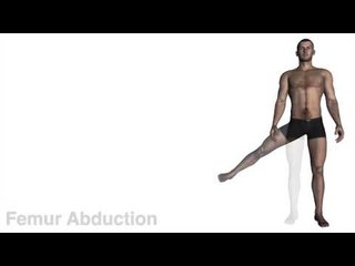 Actions of the Lower Body - Kinesiology Quiz